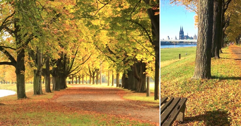 Köln im Herbst