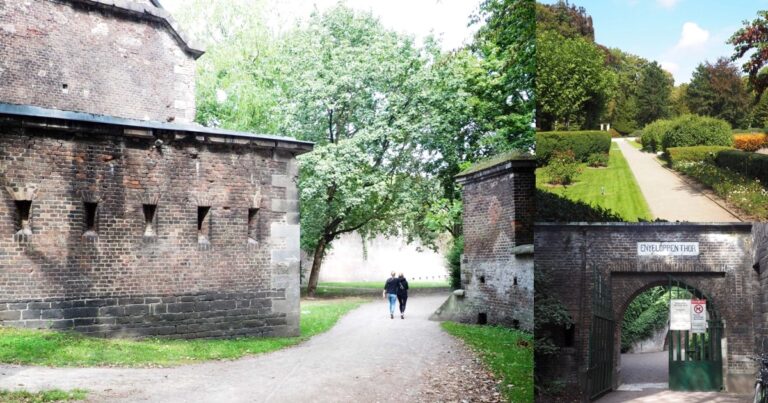 Fort6