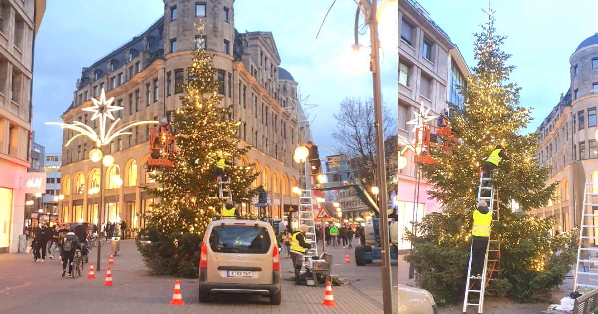 Weihnachtsbaum entsorgen Köln