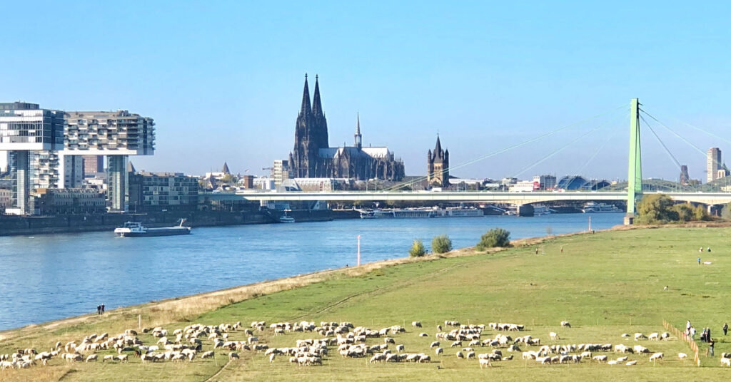 Ausflugsziele Köln