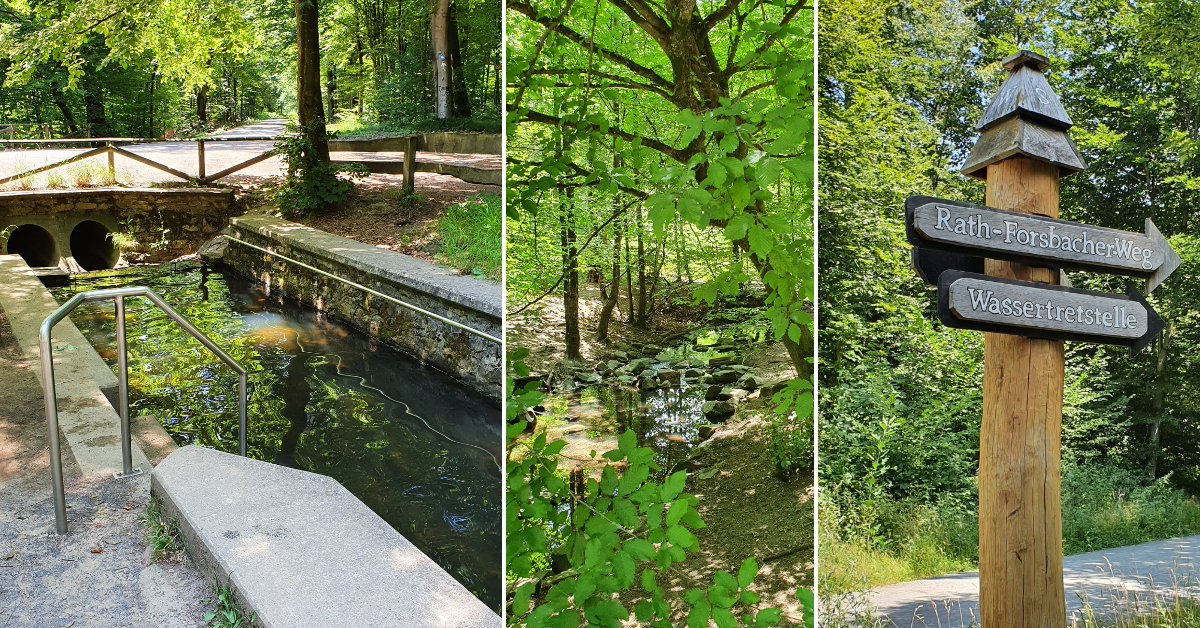 Wanderung zur Wassertretstelle im Königsforst: So findet man das Becken