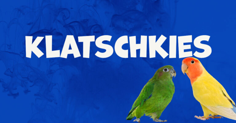klatschkies