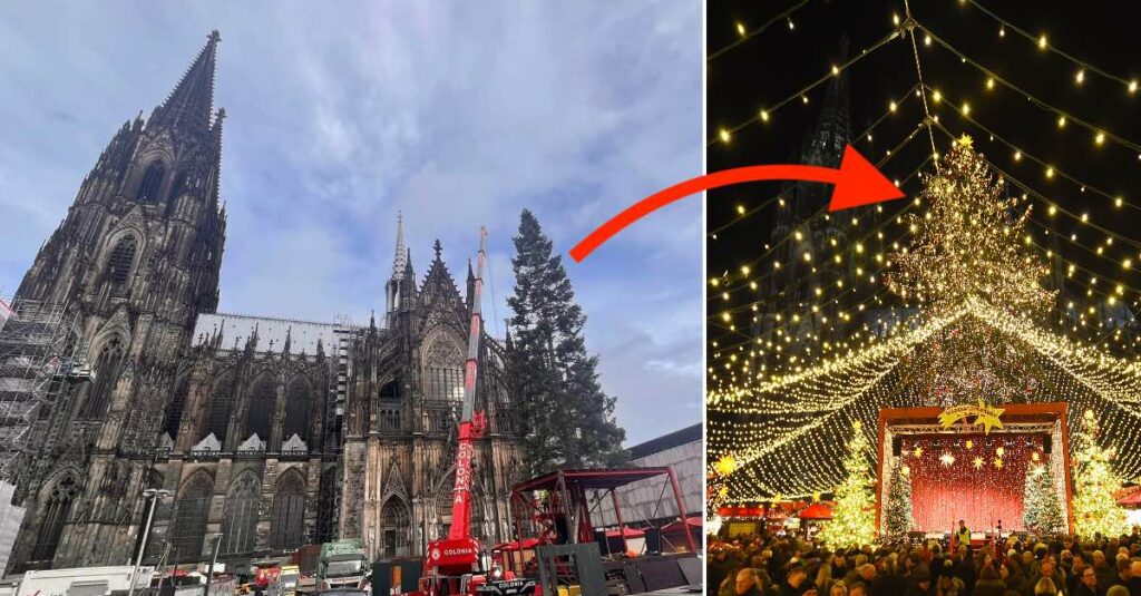 Weihnachtsbaum vor dem Kölner Dom