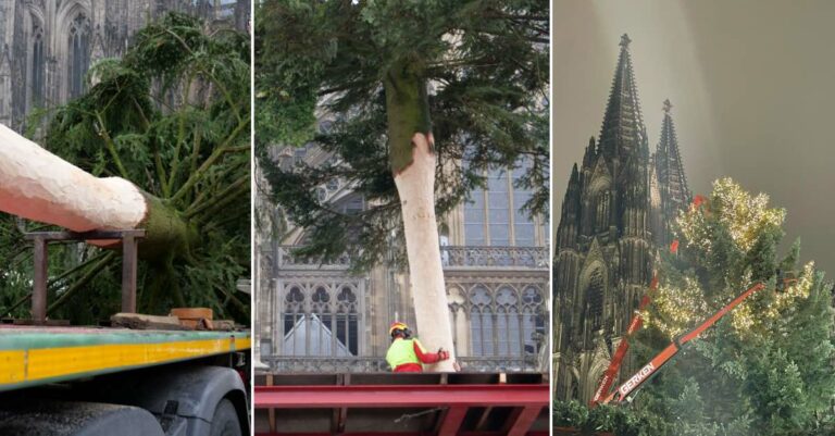 Weihnachtsbaum Kölner Dom