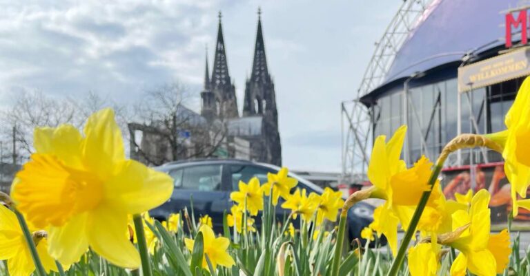 Frühling Köln