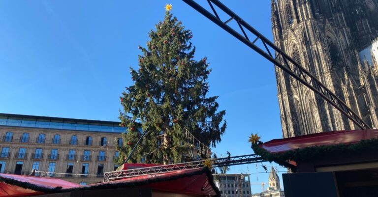 Weihnachtsbaum am Dom