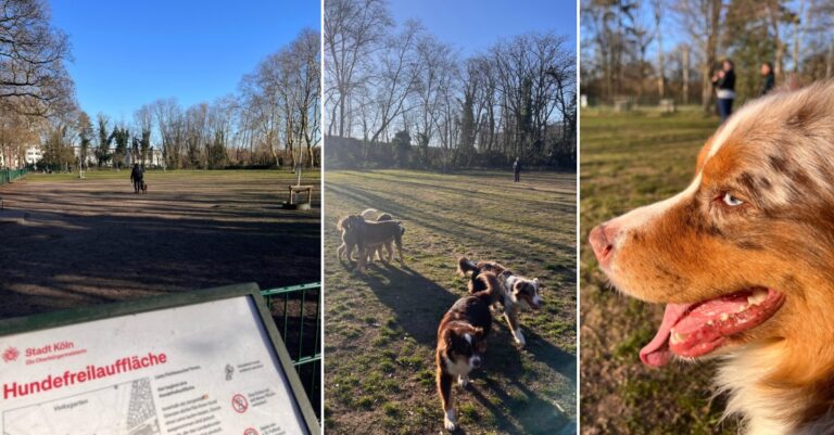 Hundewiesen Köln