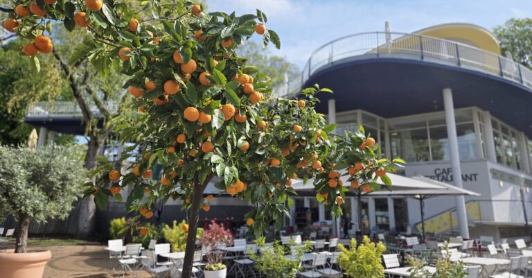 Park Cafe Rheinpark
