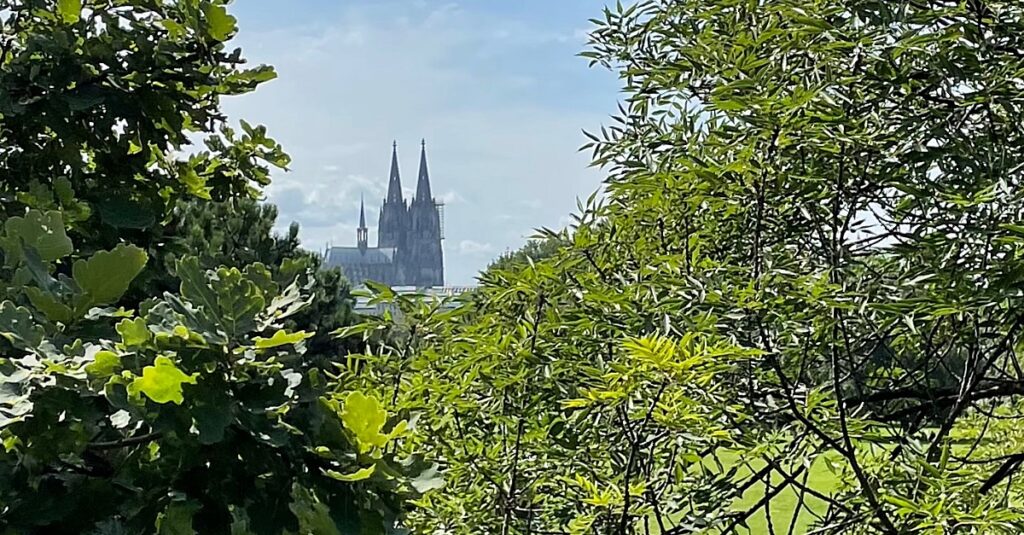 Natur Termine Juni