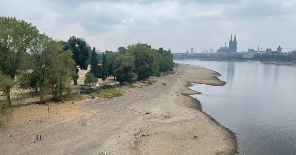 Badeverbot Rhein Köln
