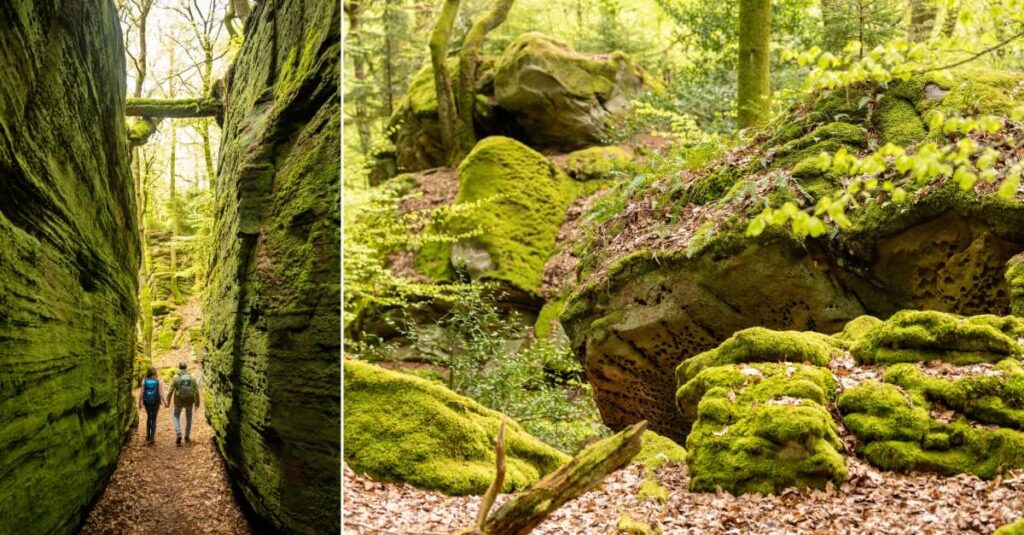 Grüne Hölle Bollendorf