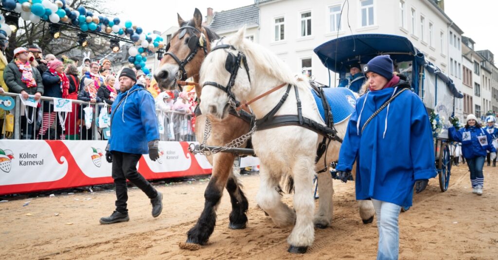 Pferde Rosenmontagszug