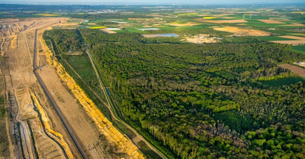 Hambacher Wald