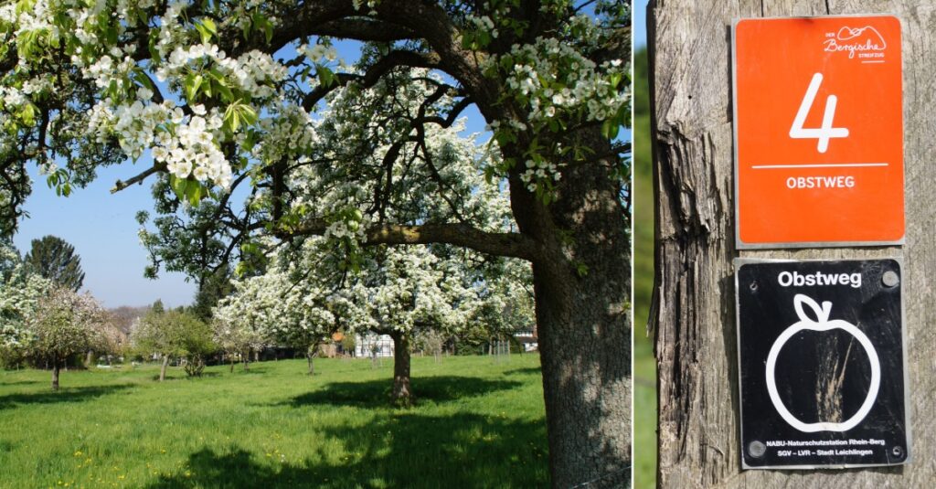 Leichlinger Obstweg
